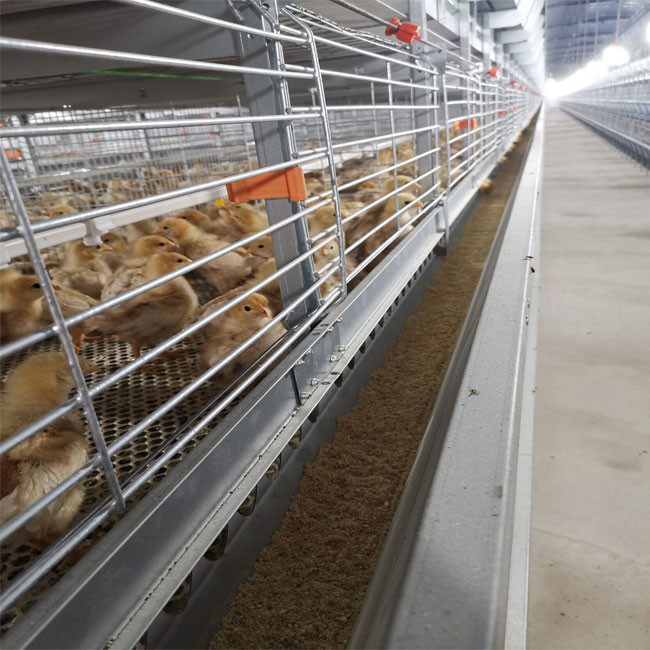 H Type Complete Automatic Broiler Chicken Cage 4 Tiers Good Elasicity