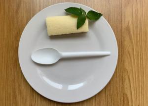 China Compostable Disposable Cpla Cutlery 6.5 Inch Spoon wholesale