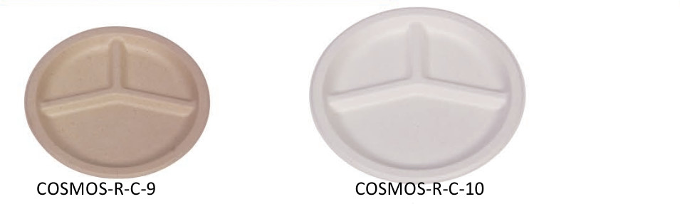 Compostable Biodegradable Disposable 9inch 10inch Sugarcane Sugar Cane Bagasse Party Dinner Plate