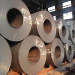 Galvanized Hot Rolled Low Carbon Steel Coils 0.3mm