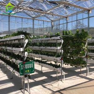 China Customized Soilless Gardening Systems Vertical Hydroponic Farming Equipment wholesale