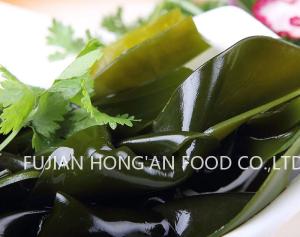 China High Nutritional Umami Green Kelp Sprouts , Kelp Vegetable HACCP Approved wholesale