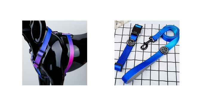 Gradient Pet Collars Leashes Set 150Cm Chain Length Seat Belt Buckle Dog Collar