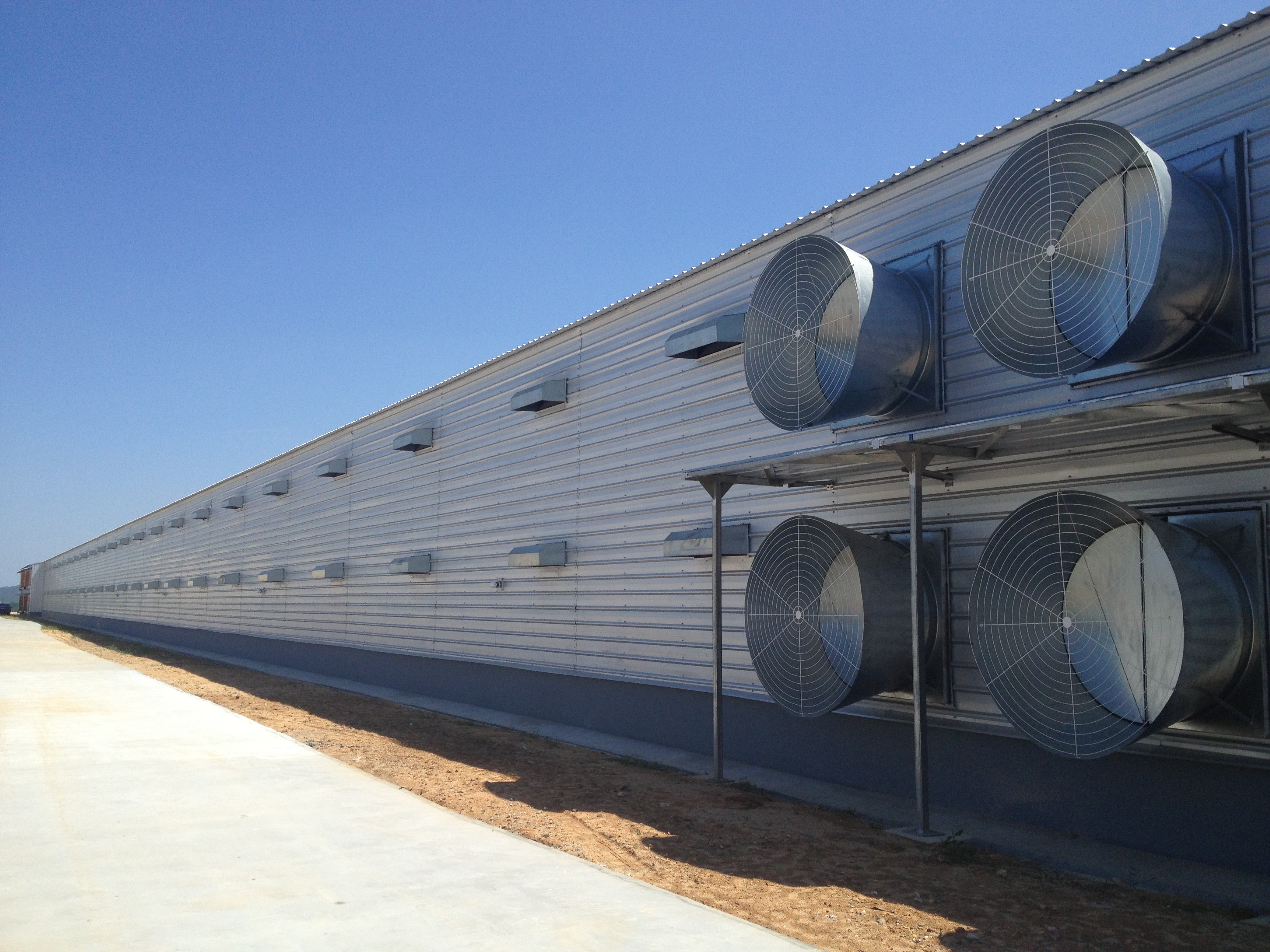 Galvanized Steel Frame Chicken House Bolts Connection Steel Structure Poultry Sheds