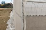 Commercial Tunnel Greenhouse Single Span Plastic Film Greenhouse For Vegetables