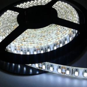 China Waterproof led strip light DC12/24V IP65 wholesale