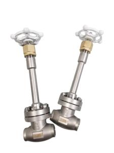 China PN40 Cryogenic Socket Weld Globe Valve SS304 SS316 Cryogenic Globe Valve wholesale