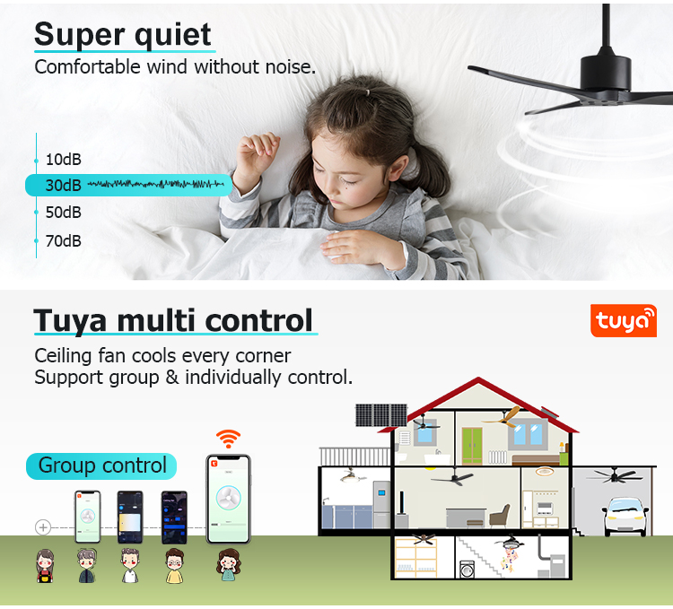 Standard Wind 52 Inches Ceiling Fan with Remote Control and 6 Speeds Private Mold NO