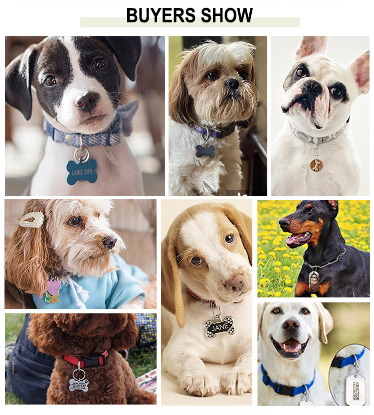 Laser Custom Pet LOGO Dog Tag Custom Identity Card ID Card Dog Card