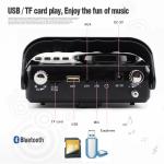 Street Performance Digital Amplifier Bluetooth (optional) Microphone Radio