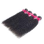 Curly Texture Brazilian 7A Virgin Hair , Wet And Wavy Virgin Hair Bundles