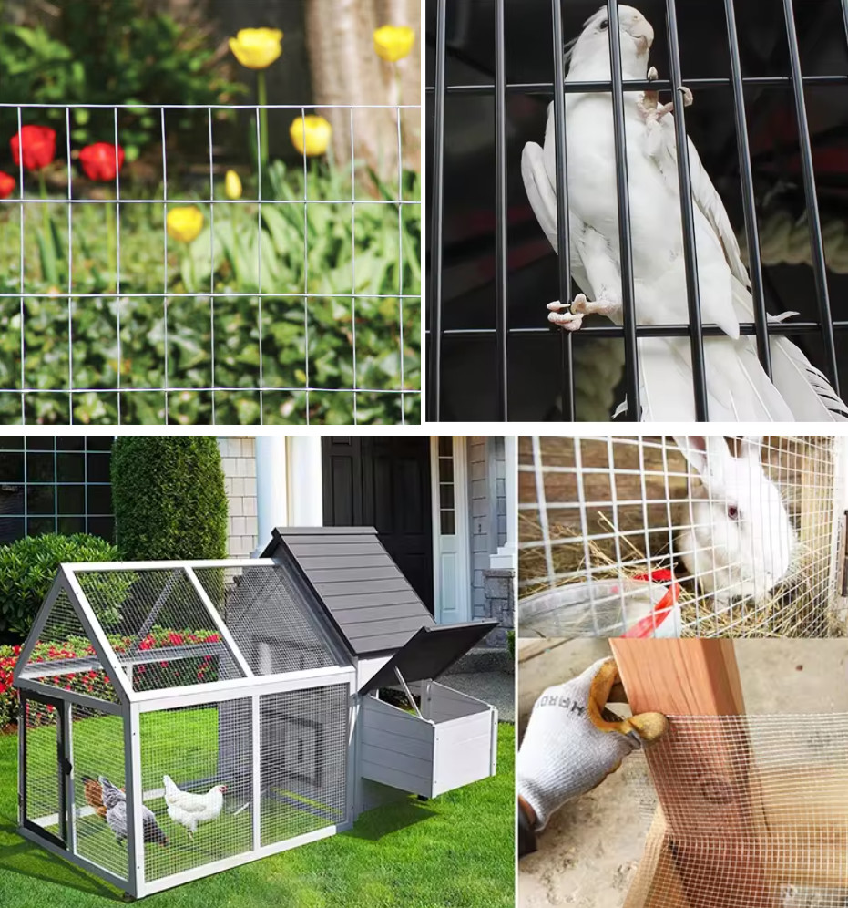 Hot Dipped Rectangular Welded Wire Mesh For Rabbit Proofing Agriculture Farm Fencing