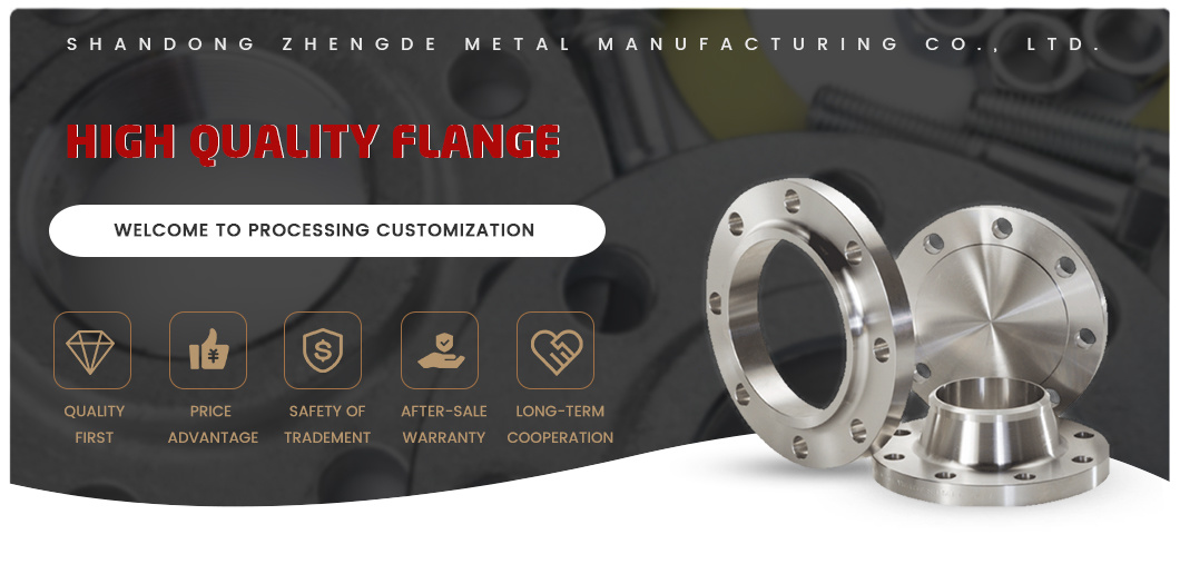 China Manufacture Forged Weld Neck Stainless Steel/Carbon Steel Flange