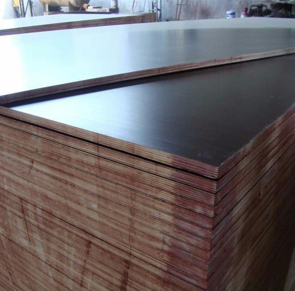 Thailand market black film faced plywood faced shuttering plywood with hot press