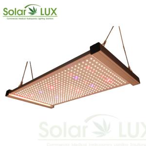 China Qb288 240w V4 Hlg Lm301b Switches Quantum Led Grow Light wholesale