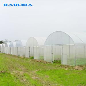 China 150mic PE Film Tunnel Plastic Greenhouse With Galvanized Steel Frame wholesale