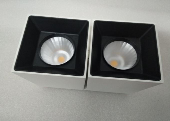 2*10Watt Aluminum Outdoor LED Flush Mount Ceiling light For Bathroom