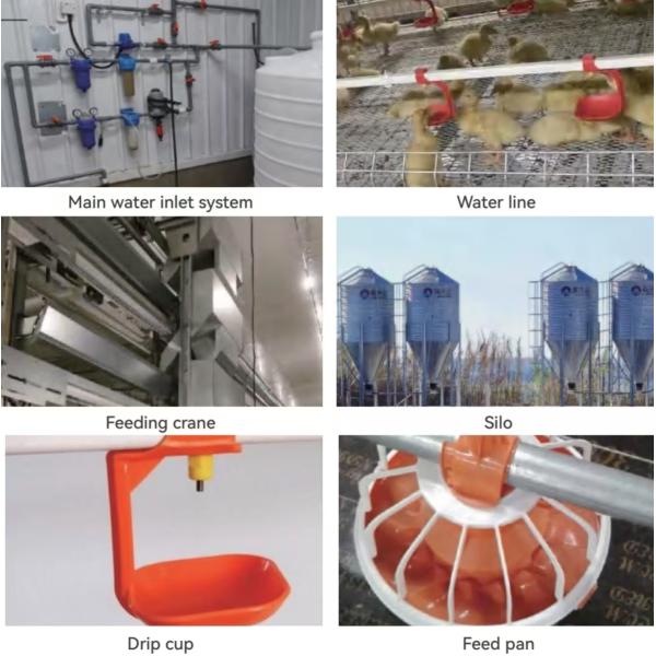 KXD Poultry House Equipment Automatic Broiler Feeding System For Broilers / Layers
