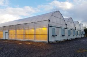 China Agricultural Tunnel Light Deprivation Greenhouse For Herb wholesale
