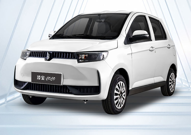 Luxury Plug In Hybrid Vehicles 5 Door 4 Seater For Adult Use