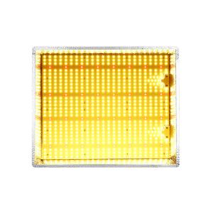 China IP65 Aluminum 300W Grow Room LED Lights wholesale
