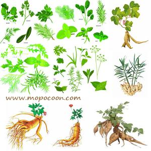 China Pericarpium Zanthoxyli Extract wholesale