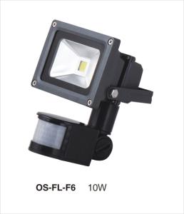 China LED Flood light PIR one ce rohs saa wholesale