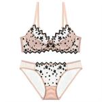 New Lace Bra Set