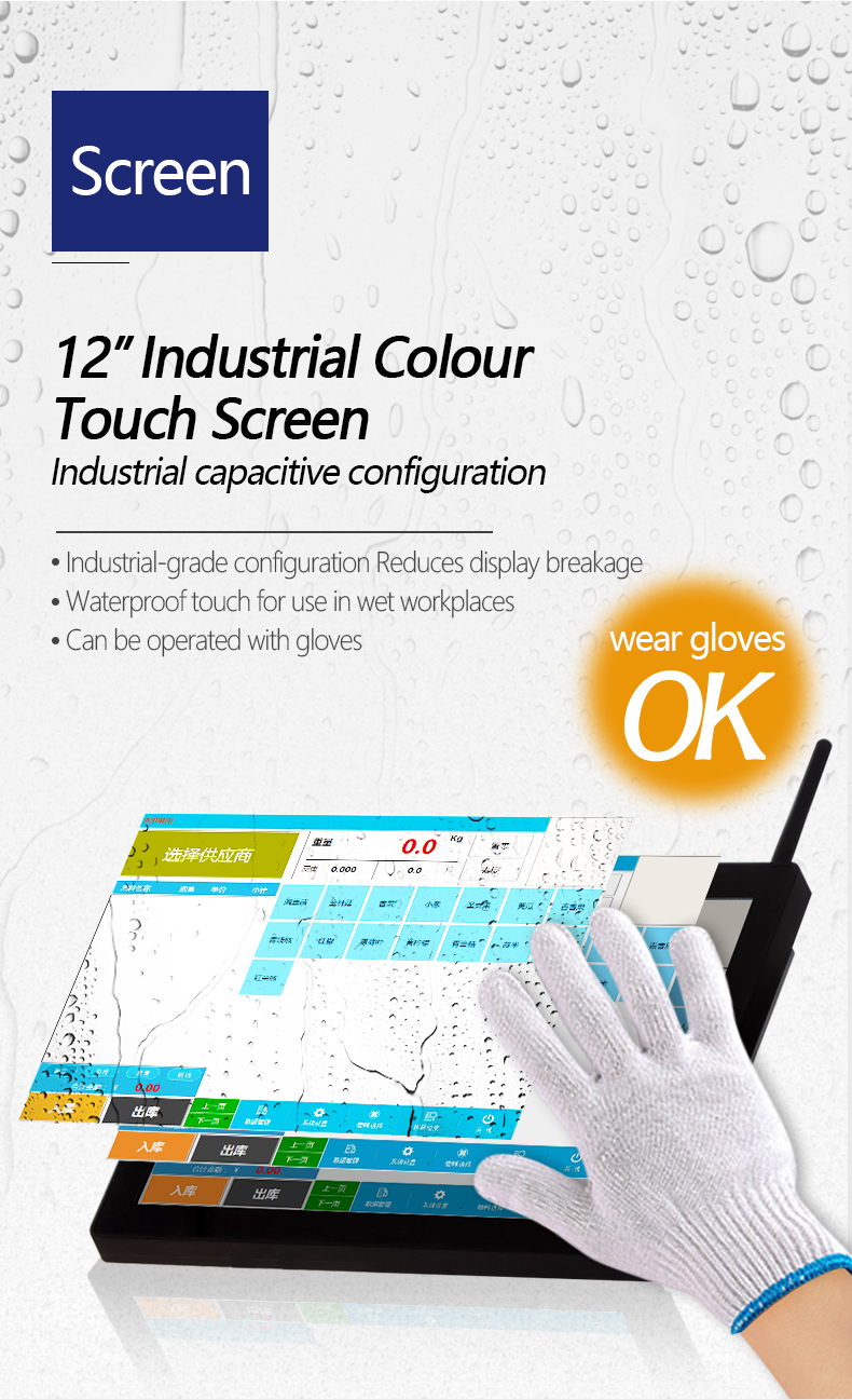 12 Inch Desktop Screen 15-200kg Pork and Beef Processing Label Scale with 12V/3V Power Supply