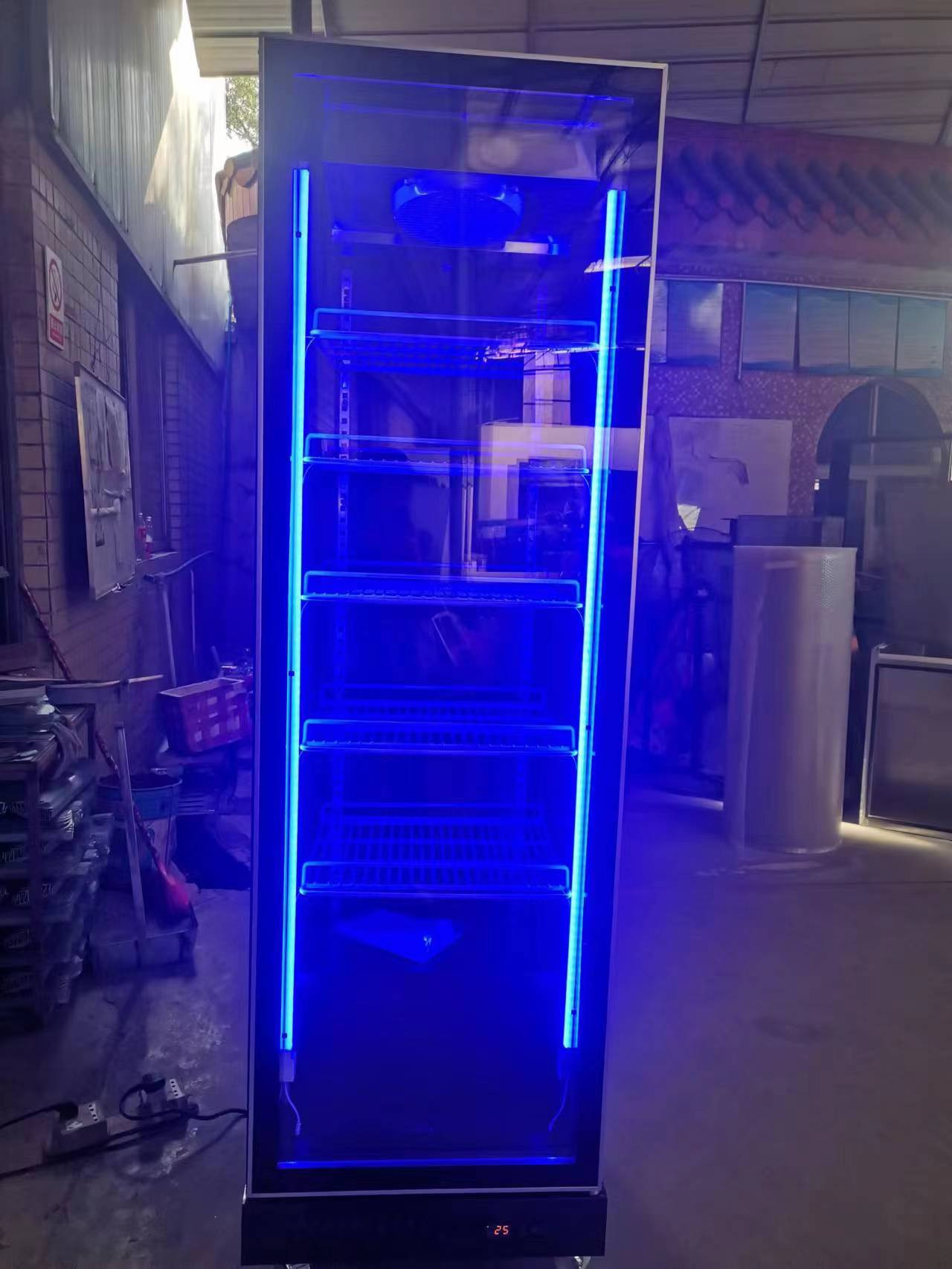 R290 Single Door Upright Fridge Commercial Beverage Display Refrigerator