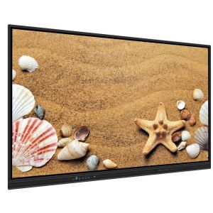 65'' Interactive Flat Panel Smart TV Touch Screen for Conference（Entry-level）