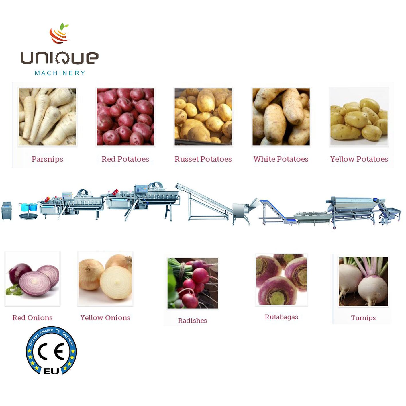 Automatic Clean Root Vegetable Asparagus Washing Line with Fruit Vegetable Juicer