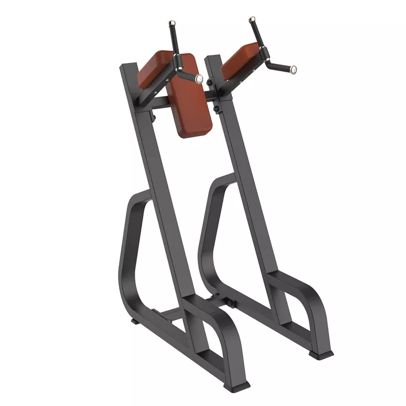 Befreeman Wholesale Hot Sale High Quality Gym Equipment Vertical Kness Up/dip
