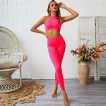 2 Piece Yoga Sets Clothing , Womens Fitness For Clothing Gym Exercise
