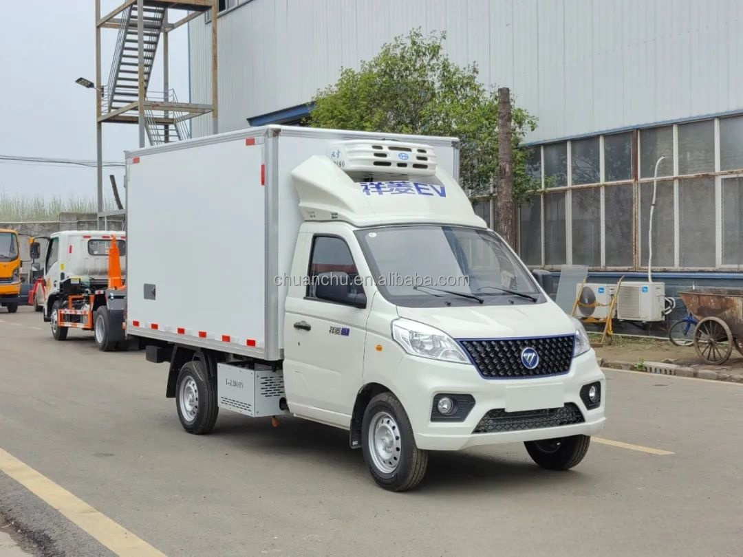 Customized Frozen Meat Delivery Trucks 4.2m Pure Electric Refrigerated Truck