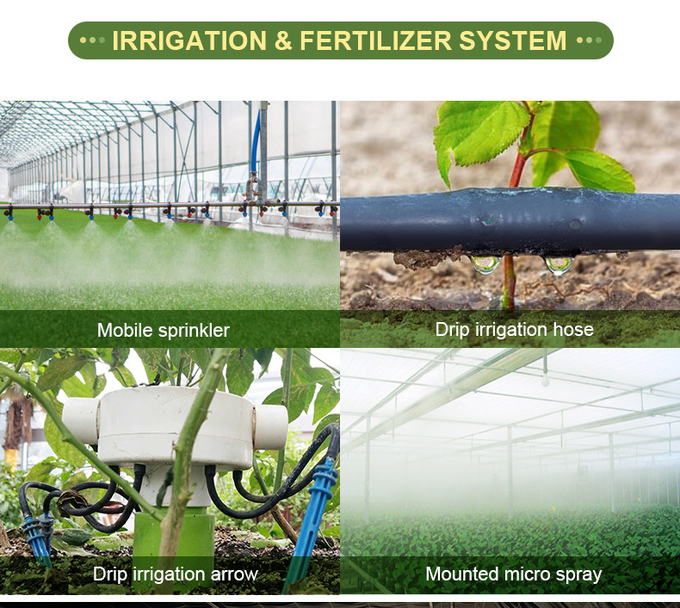 Hot Galvanized Steel Pipes Auto Light Deprivation Greenhouse With Blackout Curtain