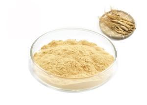 China Organic Siberian Root 30% 80% Ginsenosides Pure Ginseng Extract wholesale