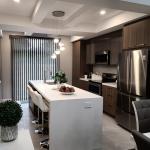 Kitchen Renovation Professional Matte Kitchen Cupboards with Quartz Stone