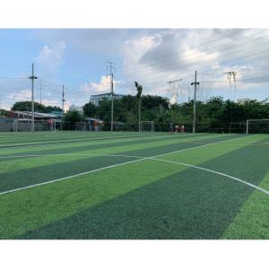 China SGS Green Synthetic Turf futsal carpet For Football Ground wholesale
