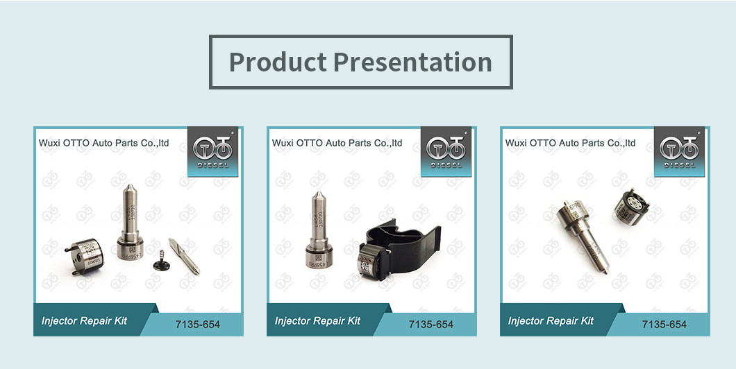 Nozzle-Valve Kit 7135-654 Delphi Injector Repair Kit R00501Z With Nozzle L456PRD