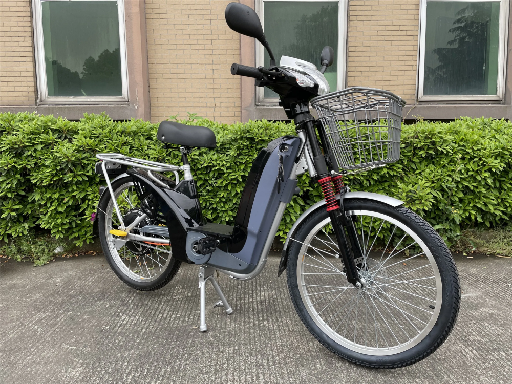 48V 12Ah 24 Inch Red Electric Bike With Lead Acid Battery Front Disk Rear Drum Brake
