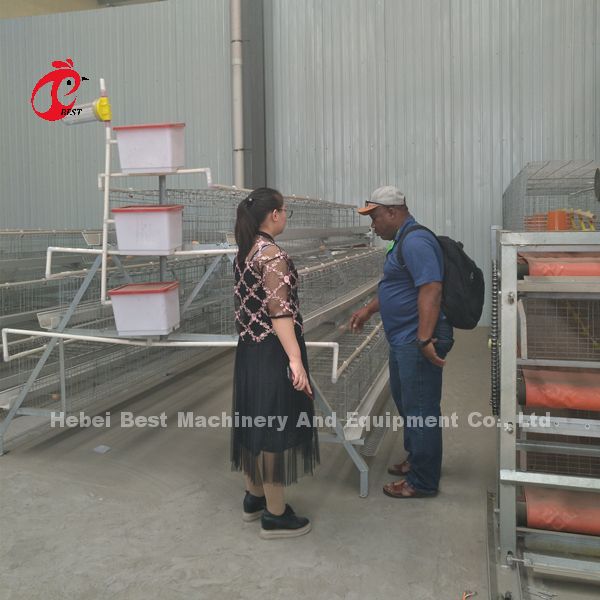 Toughness House Design Laying Chicken Battery Cage System With Cage Mesh Iris