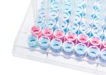PS Tissue Culturetreated Cell Culture Plate 6 12 24 48 96 384 Well