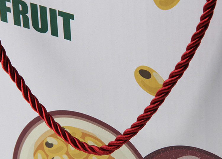 PP Handle Small Product Boxes , Custom Printed Retail Boxes For Fruit Packaging