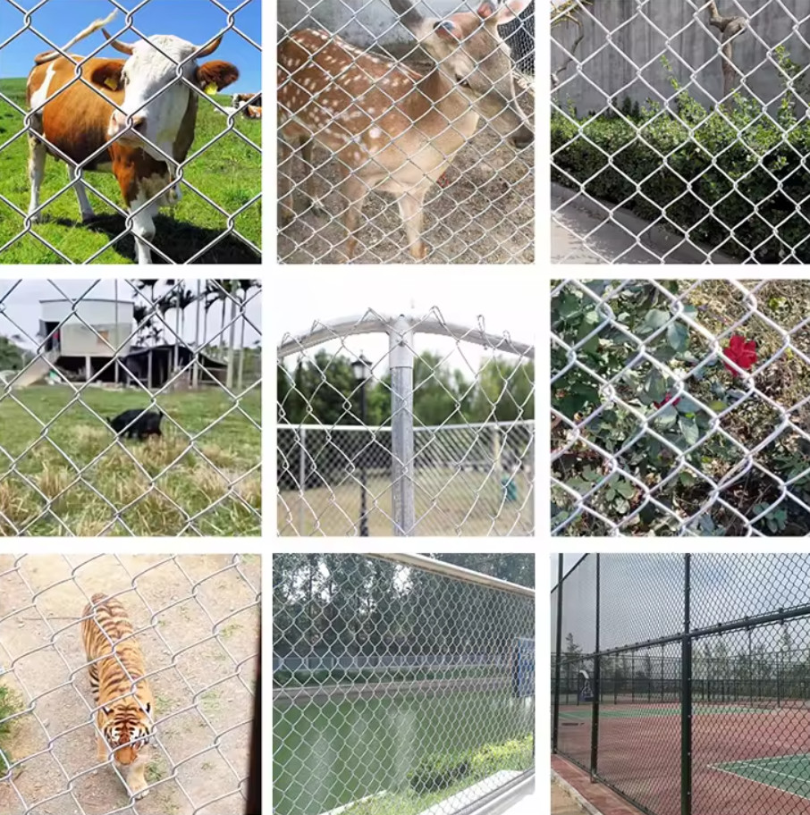 Sturdy Aluminum Alloy Pvc Coated Chain Link Mesh Fence Galvanized Wire Free Samples Available