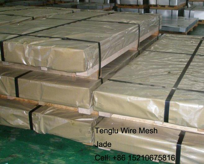 Welded Mesh Used for Anti Climb Security Fence With SS304/PVC(Powder) Coated