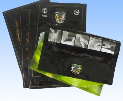 Matt Printing Best sale plastic pouch phone case heat seal packaging bag with zipper and window