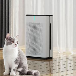 China Smart Whole House Pet Air Purifier With Plasma Home Air Filters on sale