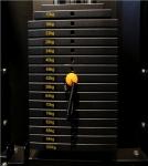 Pin Loaded Shoulders Arms Bicep Tricep Curl Machine Fitness Equipment