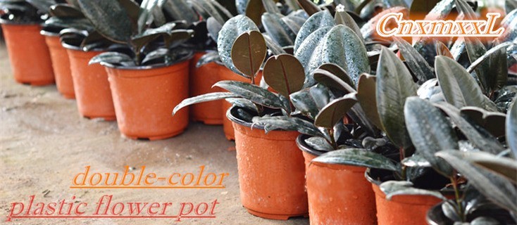 Cylindrical 0.5L Mini White Plastic Flower Pots Easy Transplanting